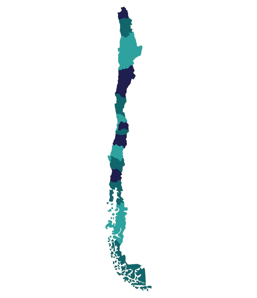 Silueta geográfica de Chile que representa la cobertura nacional de Fortunato y Asociados